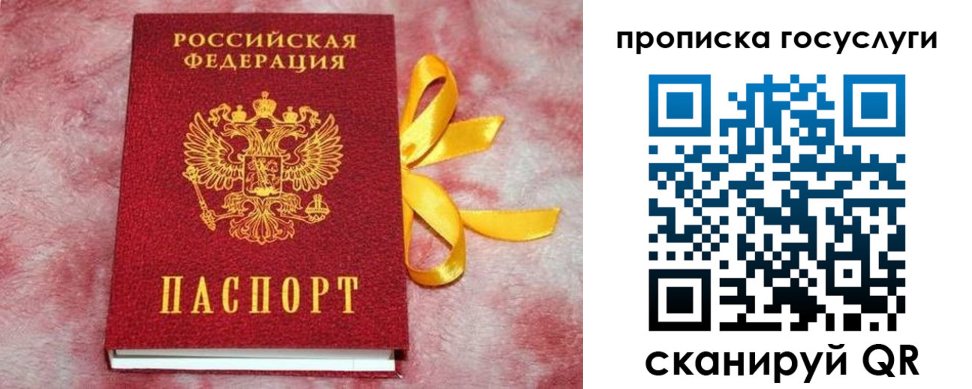 прописка законно в Сураже